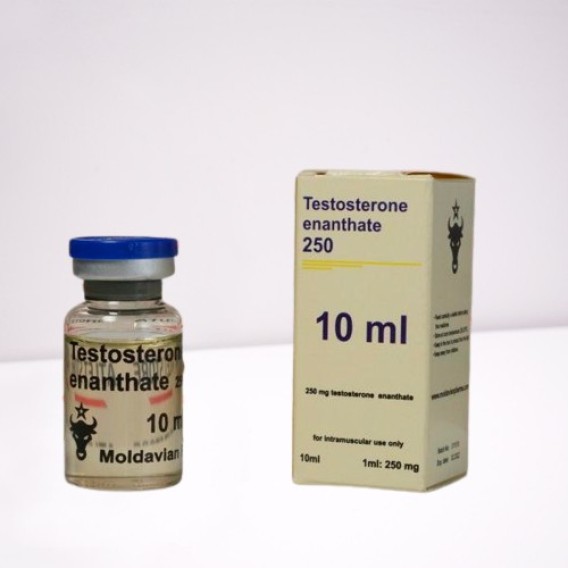 Testosterone enanthate 250 mg Moldavian Pharma
